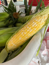 Load image into Gallery viewer, Sweet Corn 2026