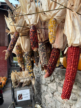 Load image into Gallery viewer, Ornamental Corn /Indian Corn Bundle of 3 with Husks - Local Pickup Preferred
