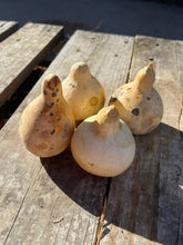 Load image into Gallery viewer, Dried Pear Gourds