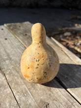 Load image into Gallery viewer, Dried Pear Gourds