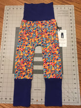 Load image into Gallery viewer, CLEARANCE 9mo-3T Flowers with Blue Bands Maxaloones