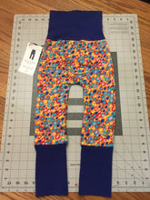 Load image into Gallery viewer, CLEARANCE 9mo-3T Flowers with Blue Bands Maxaloones