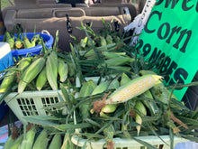 Load image into Gallery viewer, Sweet Corn COMING BACK SUMMER 2026