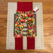 Load image into Gallery viewer, CLEARANCE 9mo-3T Tulips Maxaloones