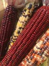 Load image into Gallery viewer, Ornamental Corn /Indian Corn Ear with Husk - Local Pickup