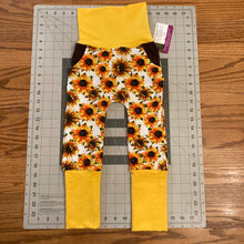 Load image into Gallery viewer, CLEARANCE 9mo-3T Sunflower Maxaloones