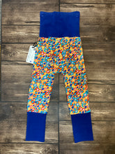 Load image into Gallery viewer, CLEARANCE 9mo-3T Flowers with Blue Bands Maxaloones