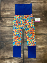 Load image into Gallery viewer, CLEARANCE 9mo-3T Flowers with Blue Bands Maxaloones