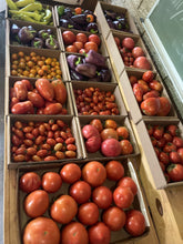 Load image into Gallery viewer, Produce Flats - Tomatoes, Peppers, and More