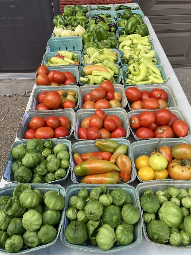 Freed Produce Farms photo 2