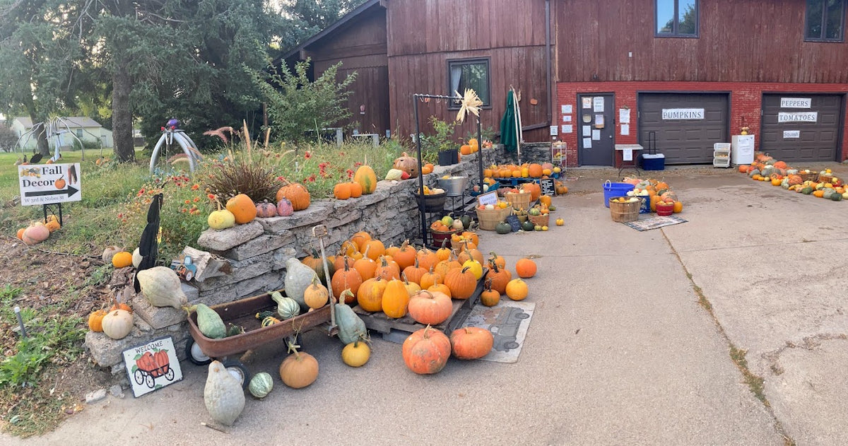 Freed Produce Farms photo 4