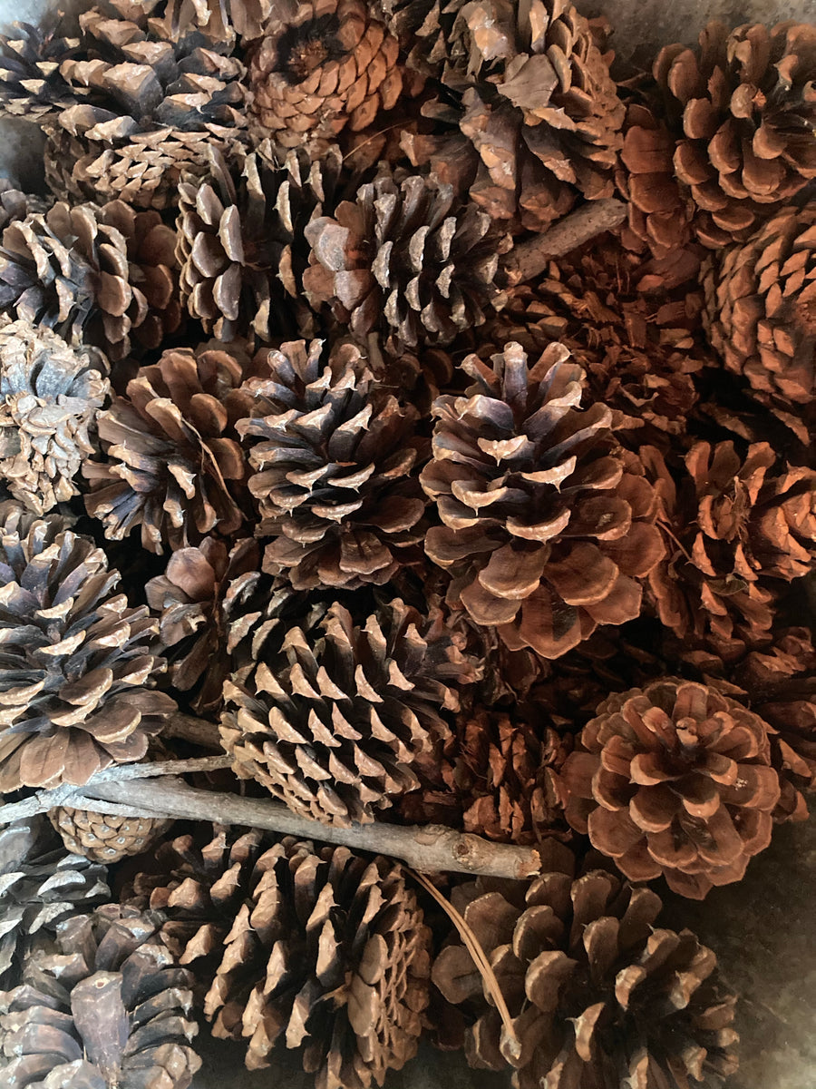 Freed Produce Farms photo 3