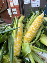 Load image into Gallery viewer, Sweet Corn 2026
