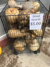 Load image into Gallery viewer, Dried Gourd
