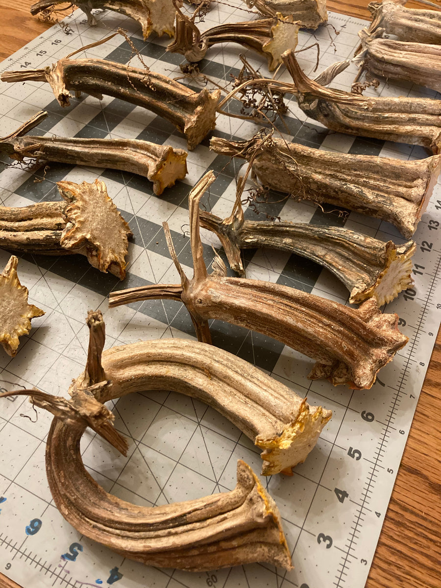 Freed Produce Farms photo 13