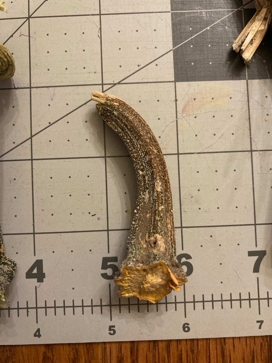 Freed Produce Farms photo 12